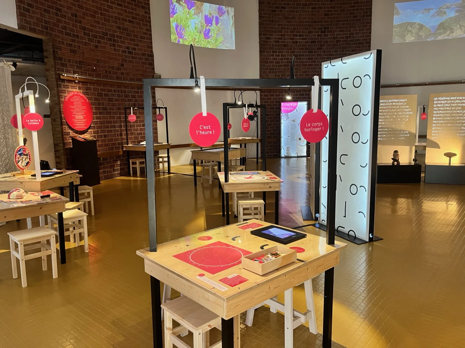 Exposition Clock – les horloges du vivant